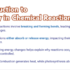 Energy Change in a Chemical Reaction - Image 4